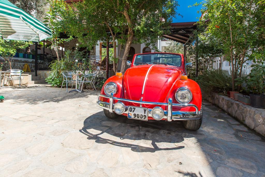 Zakkum Pansiyon Kaş Exteriér fotografie